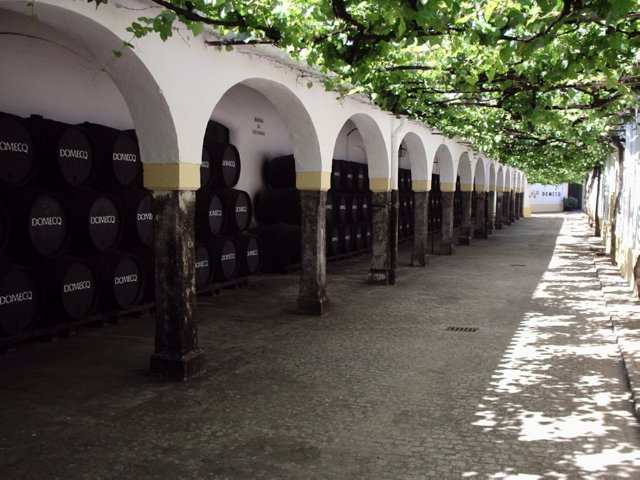 P5190085 Bodega Domecq - Jerez de la frontera